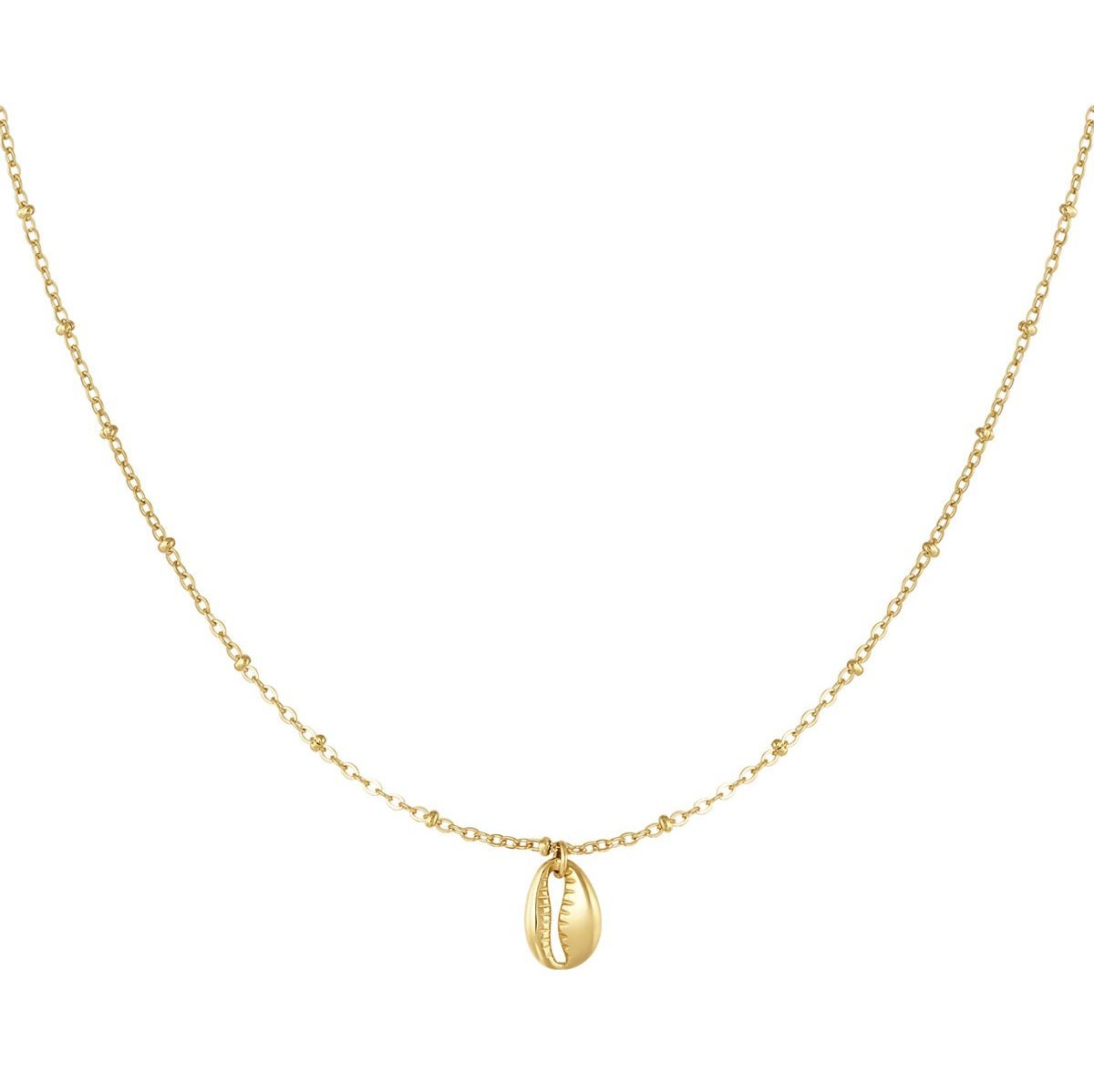 Ketten - Goldene Edelstahlkette mit Muschelanhänger - Gold - KE1012 - gold - Beau Soleil Jewelry